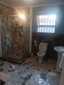a bathroom with a shower and a toilet and a sink at Lifeshed in Johannesburg