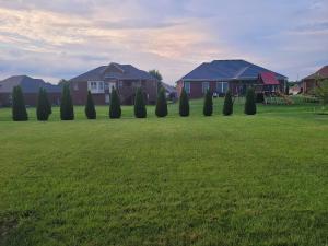a row of trees in a yard with houses at Blessings Private Home in Louisville