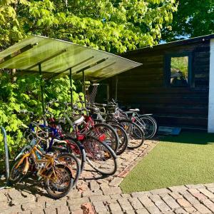 a group of bikes parked in front of a cabin at Vadim Home 2 in Ventspils