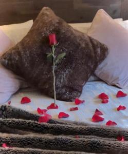 a rose on top of a pillow on a bed at The Bower at Wildside Sanctuary in Bilpin