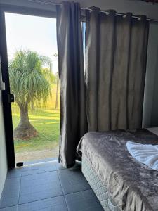a bedroom with a bed and a window with a palm tree at Pousada Bonetti Quarto 8 in Santa Rosa +3 photos