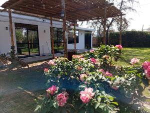 a garden with pink roses in front of a pavilion at Casa Rústica Diaz in Ica +4 photos