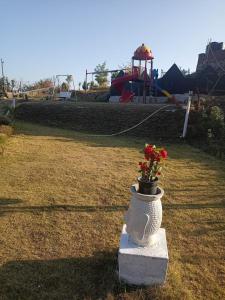 a white vase with flowers in it on a field at Salberry Hotel in Lansdowne