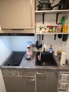 a kitchen counter with a sink and a mixer at klein aber fein in Freudenthal +12 photos