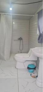 a white bathroom with a toilet and a sink at Mothers Modern Lakeside Cabin in Khyaktil
