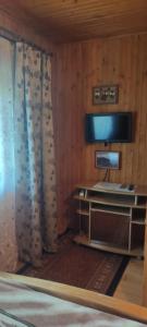 a room with a bed with a television and a desk at Буркут in Yaremche