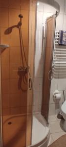 a shower with a glass door in a bathroom at Буркут in Yaremche