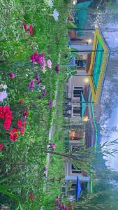 a reflection of a building in the water with flowers at The shore in Hundar +10 photos