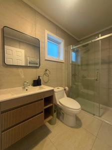 a bathroom with a toilet and a sink and a shower at Cabañas AlSur Patagonia in Puerto Natales +27 photos