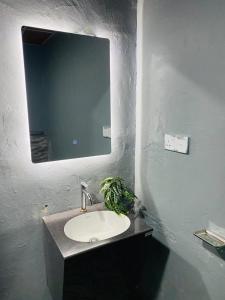 a bathroom with a sink and a mirror at Tunnel Gap Homestay in Ella