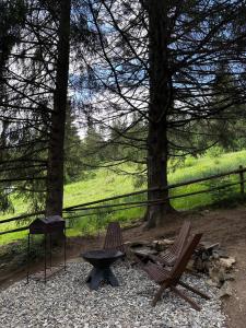 a picnic area with two chairs and a picnic table at Forest Huts in Yablunytsya