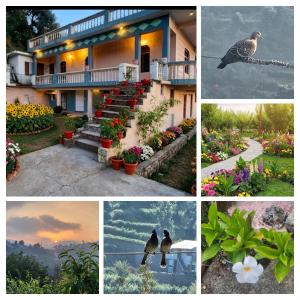 a collage of pictures of a house with flowers and birds at The Gypsy Soul Mukteshwar in Mukteshwar +26 photos