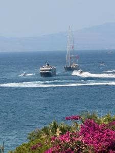 two boats in the water with pink flowers at DORTMEVSİM Hotel in Bodrum City