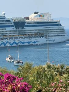 a cruise ship is docked in the water with boats at DORTMEVSİM Hotel in Bodrum City