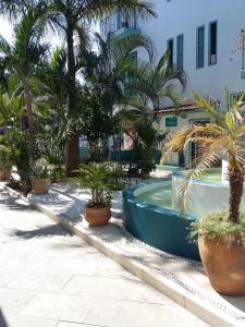 um pátio com palmeiras e uma piscina em Delphinus Inn em Santa Cruz Huatulco