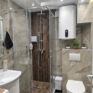 a bathroom with a shower and a toilet and a sink at Stan na dan Bijeljina centar 2 in Bijeljina