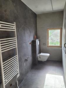 a bathroom with a toilet and a window at Panoramablick Kaunergrat Homes in Kaunerberg