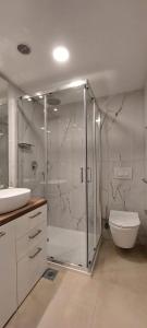 ein Badezimmer mit Dusche, Toilette und Waschbecken in der Unterkunft Bonaca in Selca + 14 Fotos