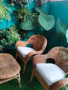 three wicker chairs and a table in front of plants at umbral luxury apartment in Tlajomulco