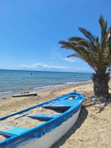 a blue boat on the beach next to a palm tree at VILLA HAWAii in Nea Moudania
