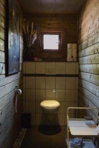 a small bathroom with a toilet and a window at Het Leendernest in Leende