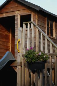 a wooden cabin with a door and a flower pot at Het Leendernest in Leende +11 photos