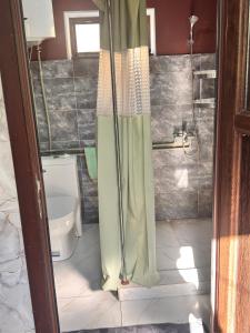 a bathroom with a toilet and a shower with a shower curtain at Sharshara-Darvoz in Sangovy
