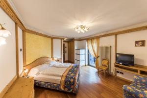 Un televizor și/sau centru de divertisment la Active Hotel Ancora
