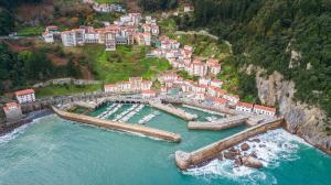 an aerial view of a harbor with boats in the water at Txobe Apartment in Elanchove