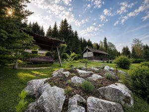 a garden with rocks in front of a house at Égéspatak Vendégház in Ghiduţ