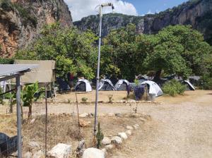 a group of tents in a field with a mountain at Gjipe eco campground 2 in Ilias