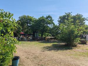 a yard with trees and a table and chairs at Gjipe eco campground 2 in Ilias