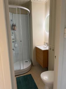 a bathroom with a shower and a toilet and a sink at Central Studio apartment in Notodden +20 photos