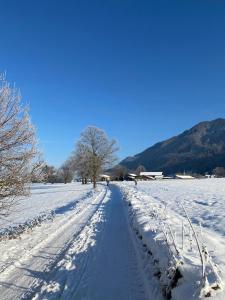 a snow covered road with a tree in a field at Bachwagnerhof in Staudach-Egerndach
