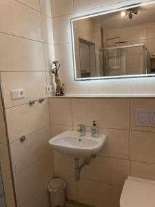 a bathroom with a sink and a mirror at Apartment far away from Africa in Steinach