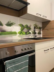 a kitchen with a stove and some plants on the counter at Apartment far away from Africa in Steinach
