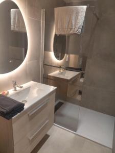a bathroom with a sink and a shower at Chambre in Ploumilliau