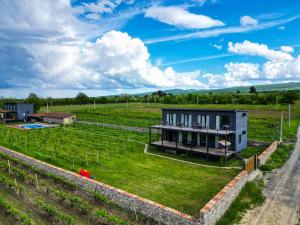 a house in the middle of a vineyard at Chateau Resse in Telavi