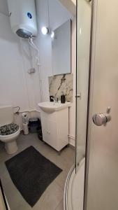 a bathroom with a sink and a toilet at MaraStudio in Caşoca