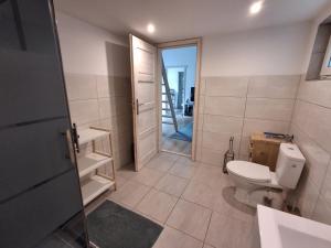 a bathroom with a toilet and a walk in shower at Domki Spore in Spore +19 photos