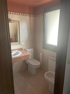a bathroom with a toilet and a sink and a mirror at Badaguás in Badaguás