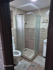 a bathroom with a shower and a toilet at Brvnara K2 KONAK in Šljivovica +21 photos