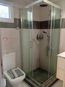 a bathroom with a shower and a toilet at Studio Mare in Nea Kallikrateia +6 photos