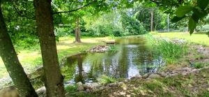 a pond in the middle of a park with trees at Zawady Oleckie- Ostoja in Kowale Oleckie