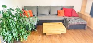 a living room with a couch with colorful pillows at Bussalp Apartment - Aare Jungfrau AG in Grindelwald