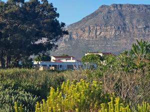 a house in a field with a mountain in the background at Princess Vlei Lodge in Grassy Park