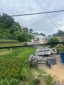 a view of a farm with a field of crops at Lama home in Bālāju