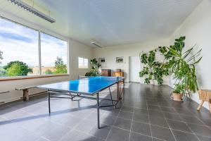 a ping pong table in a room with plants at Les Hauts de Grazac, Chambres et Tables d'hôtes in Grazac