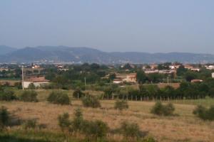 a town in a field with houses and trees at Montecchio di Cortona in Cortona