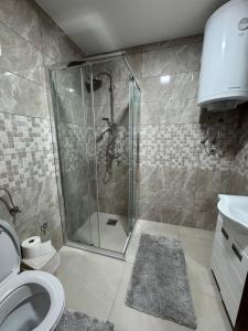 a bathroom with a shower and a toilet at Studio Apartman Đurđevak 2 in Banja Koviljača